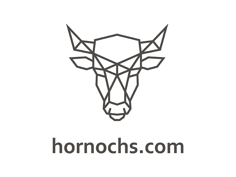 1 logo hornochs web