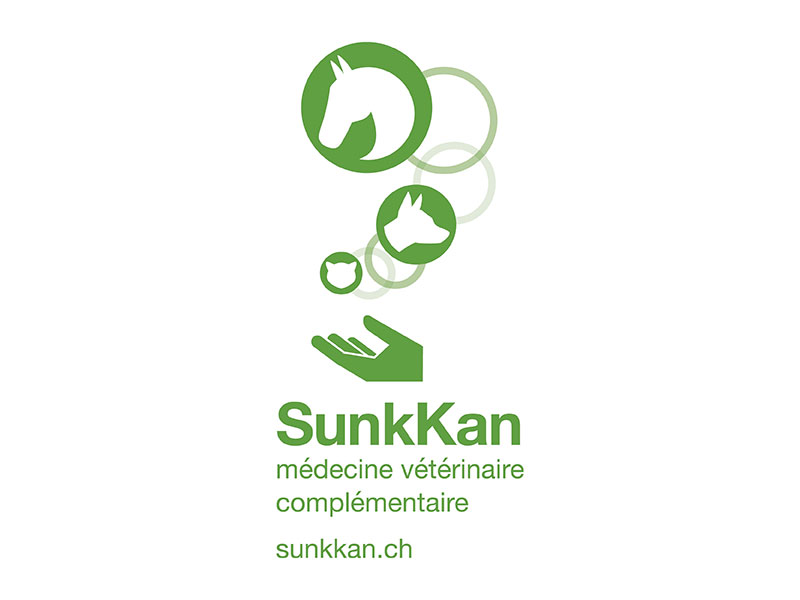 1 logo sunkkan web
